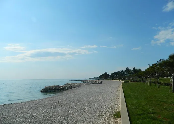 Vanda * Porec