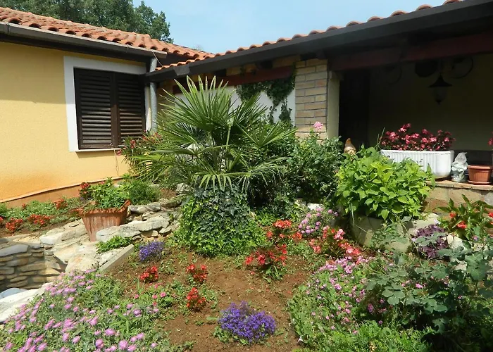 Vanda * Porec